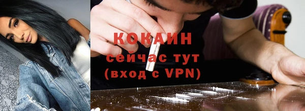 индика Надым