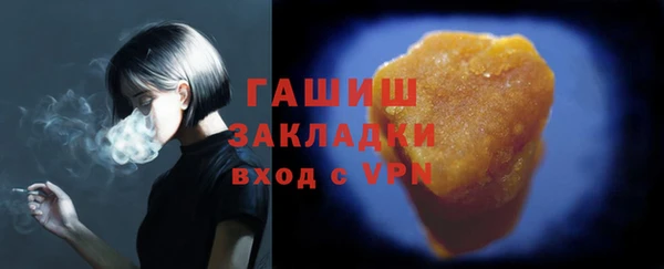 индика Надым